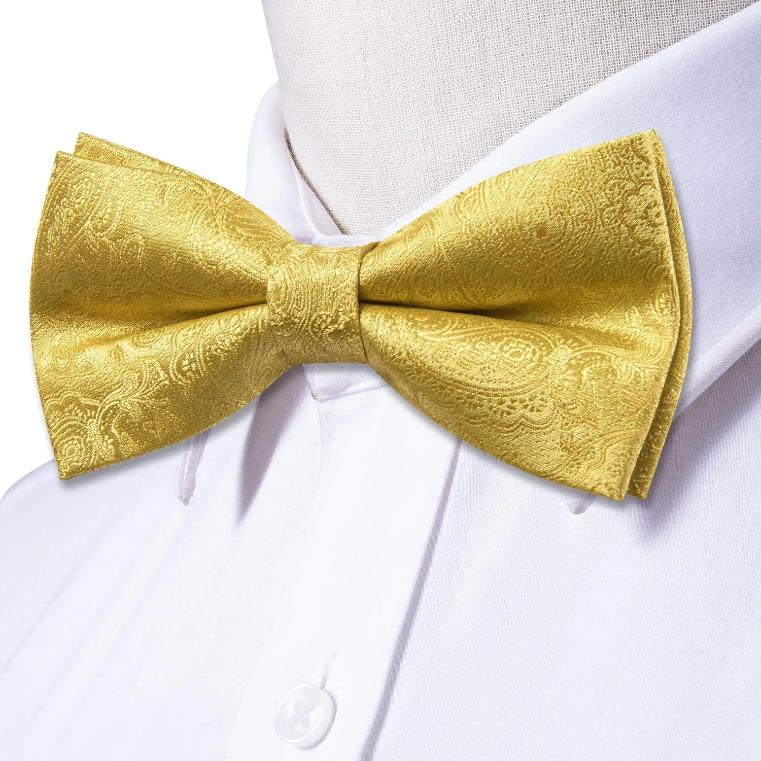 Dubulle Mens Paisley Striped Bowtie Set Pre-tied Bowtie for Men and Pocket Square Set Wedding Business