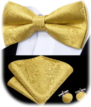 Dubulle Mens Paisley Striped Bowtie Set Pre-tied Bowtie for Men and Pocket Square Set Wedding Business