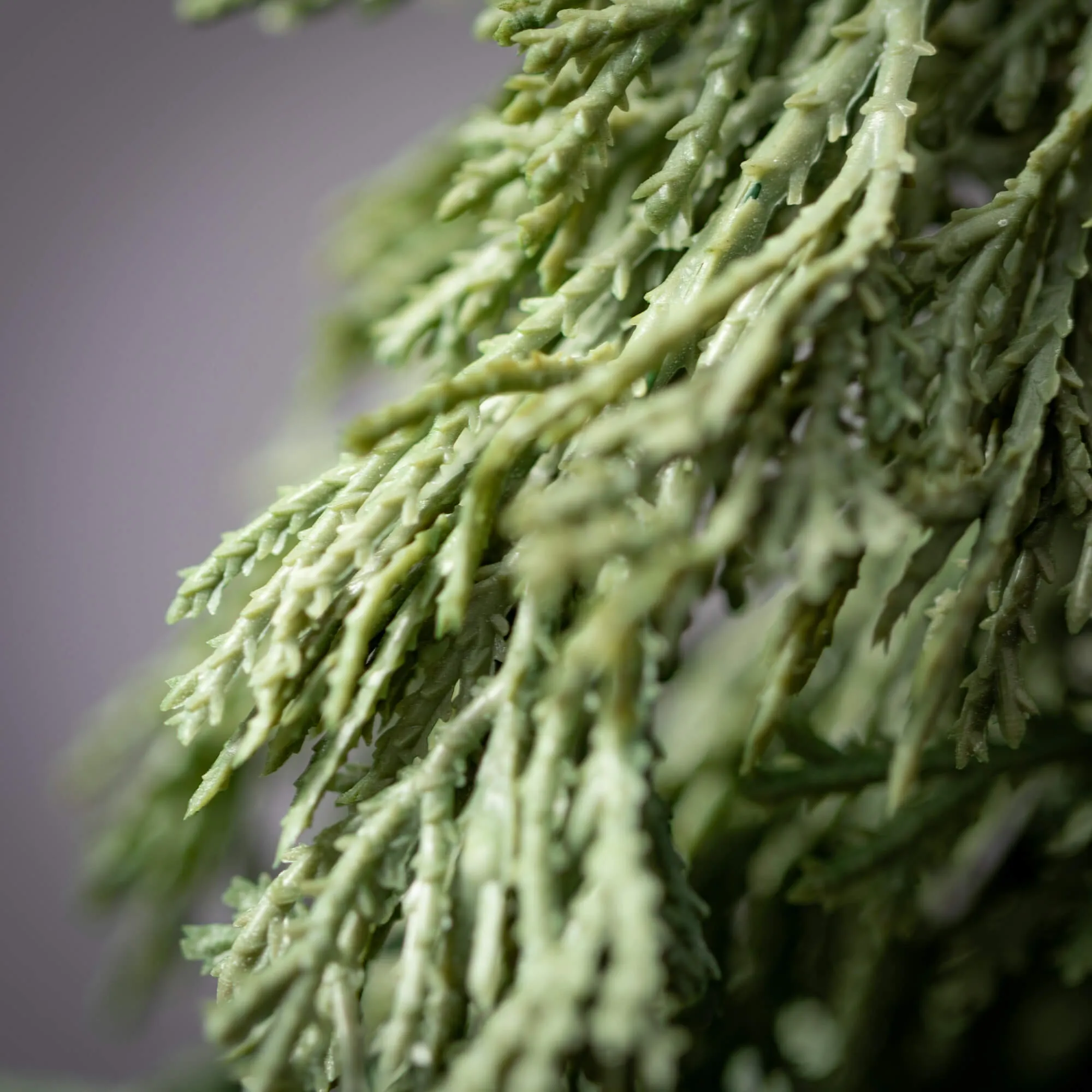 Faux Dwarf Cedar Swag