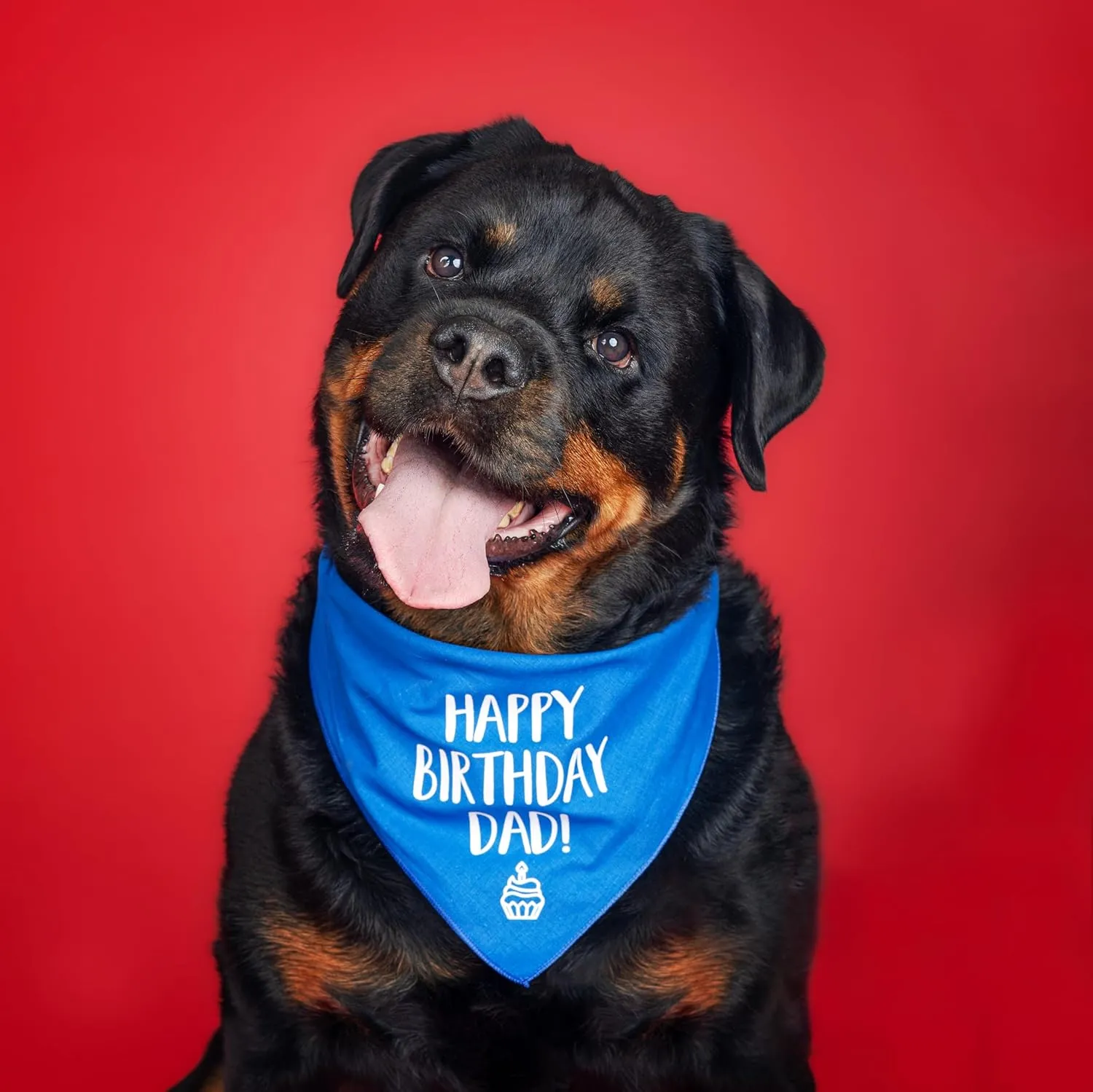 Happy Birthday Dad! Dog Bandana | 100% Cotton Adjustable Triangle | Made in USA | Birthday Party Supplies | Outfit Prop Photoshoot |Lime Green, X-Small (171)
