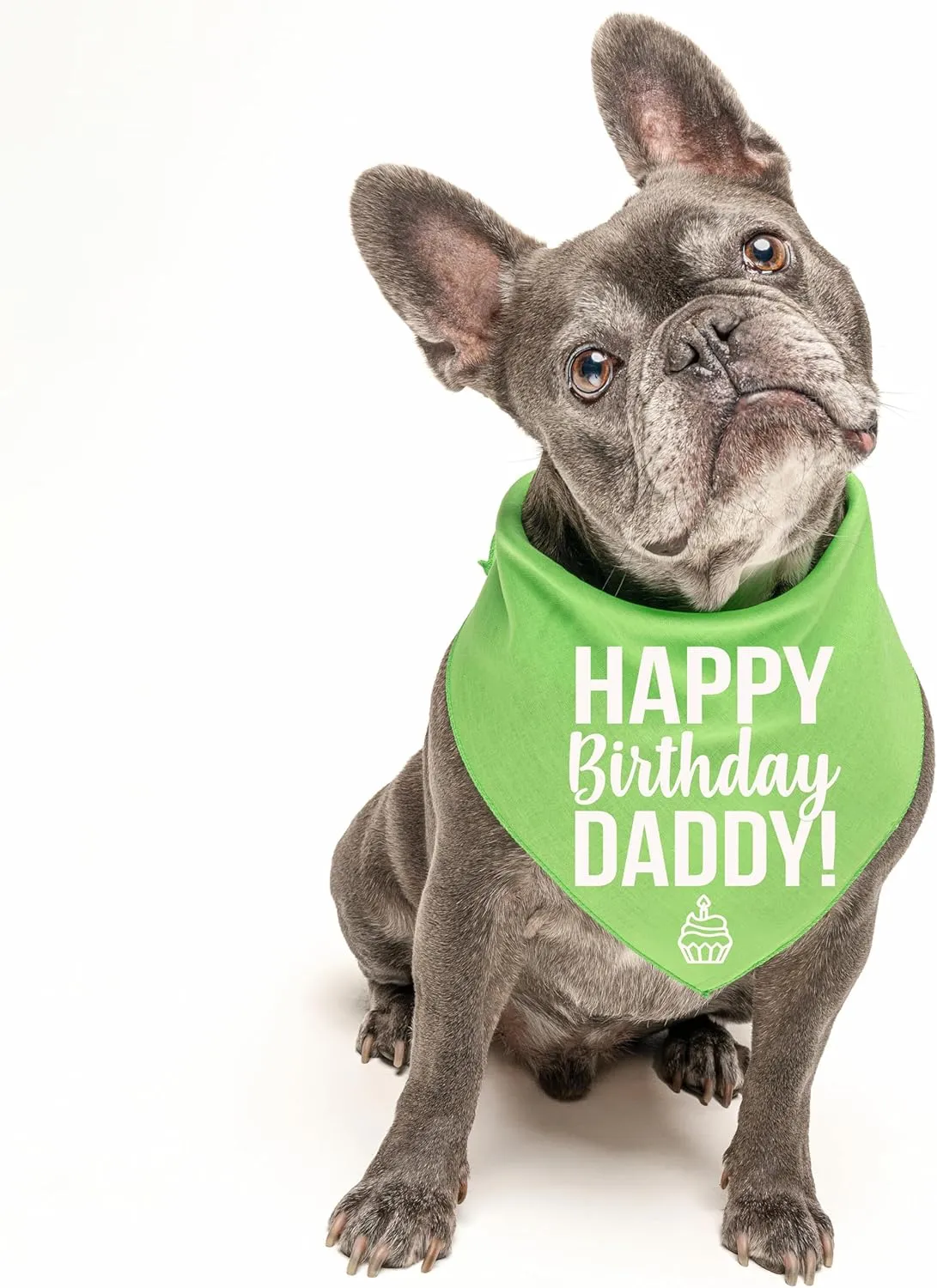 Happy Birthday Daddy! Dog Bandana | 100% Cotton Adjustable Triangle | Made in USA | Birthday Pawty | Party Theme | Celebration Photo Shoot Prop | Mom Dad | Red, One Size (170)